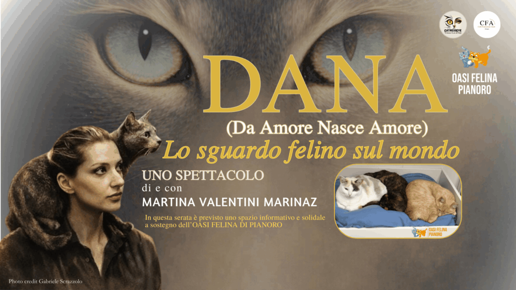DANA: Lo sguardo felino sul mondo