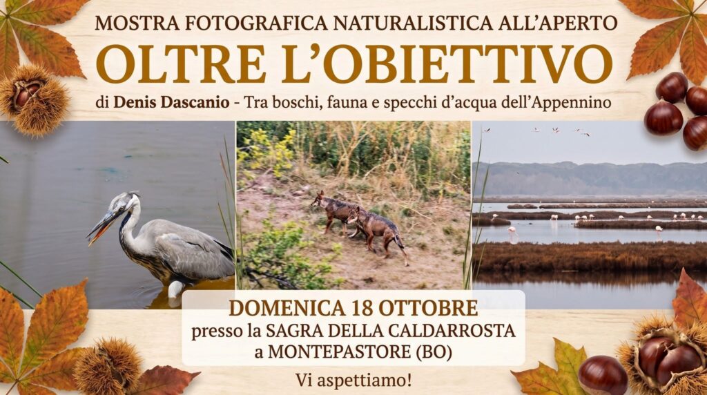 OLTRE L’OBIETTIVO