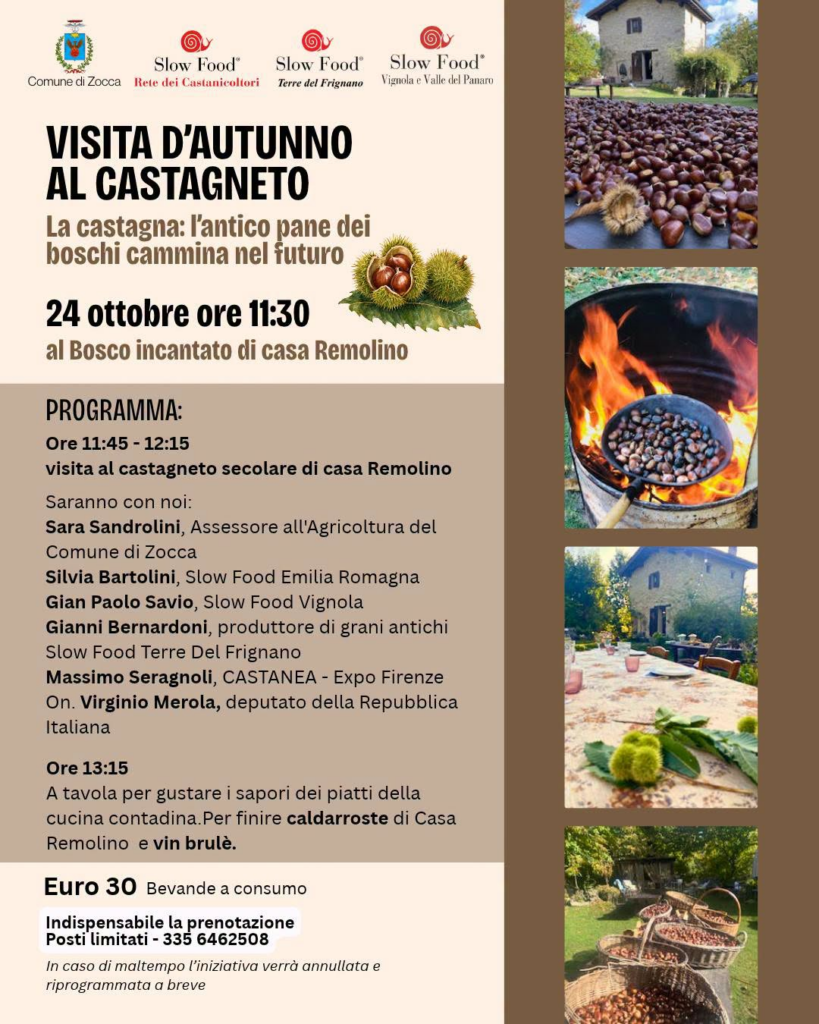 Visita d’autunno al castagneto – Casa Remolino, Zocca